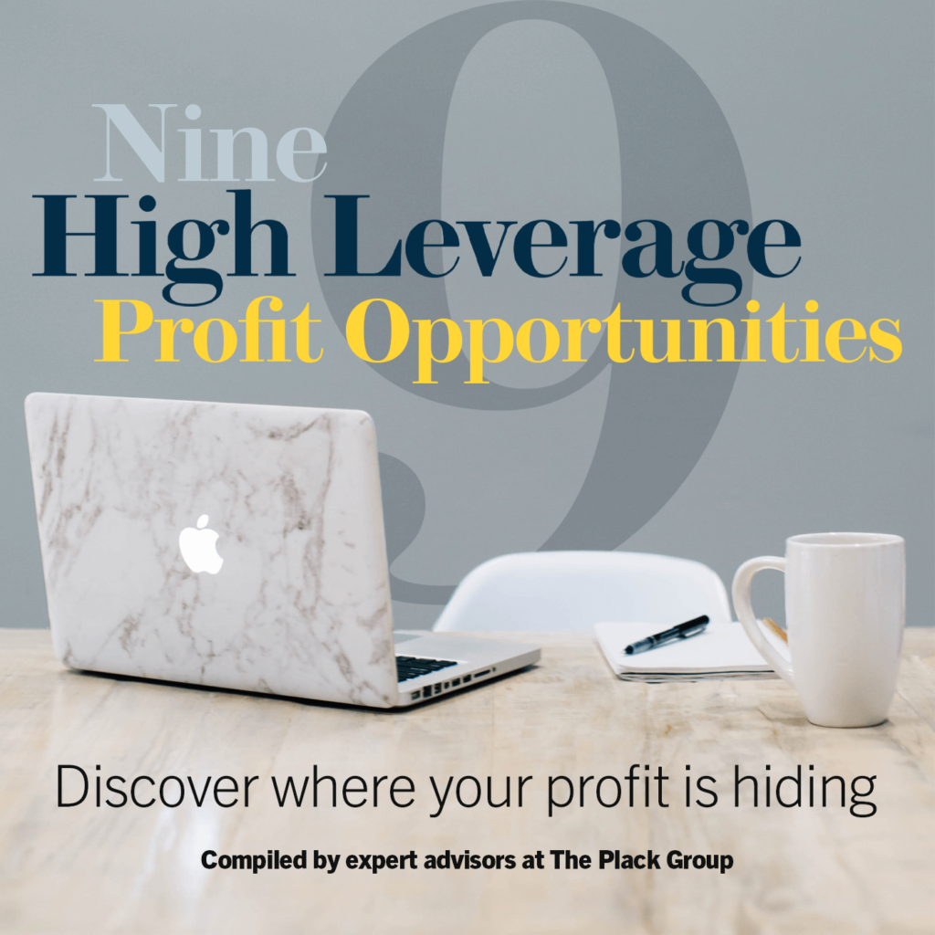 9 high leverage profit opportunities for small business owners and midsize business owners